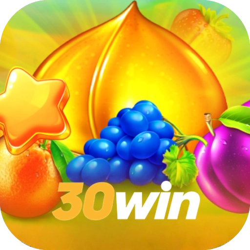 30win LOGO